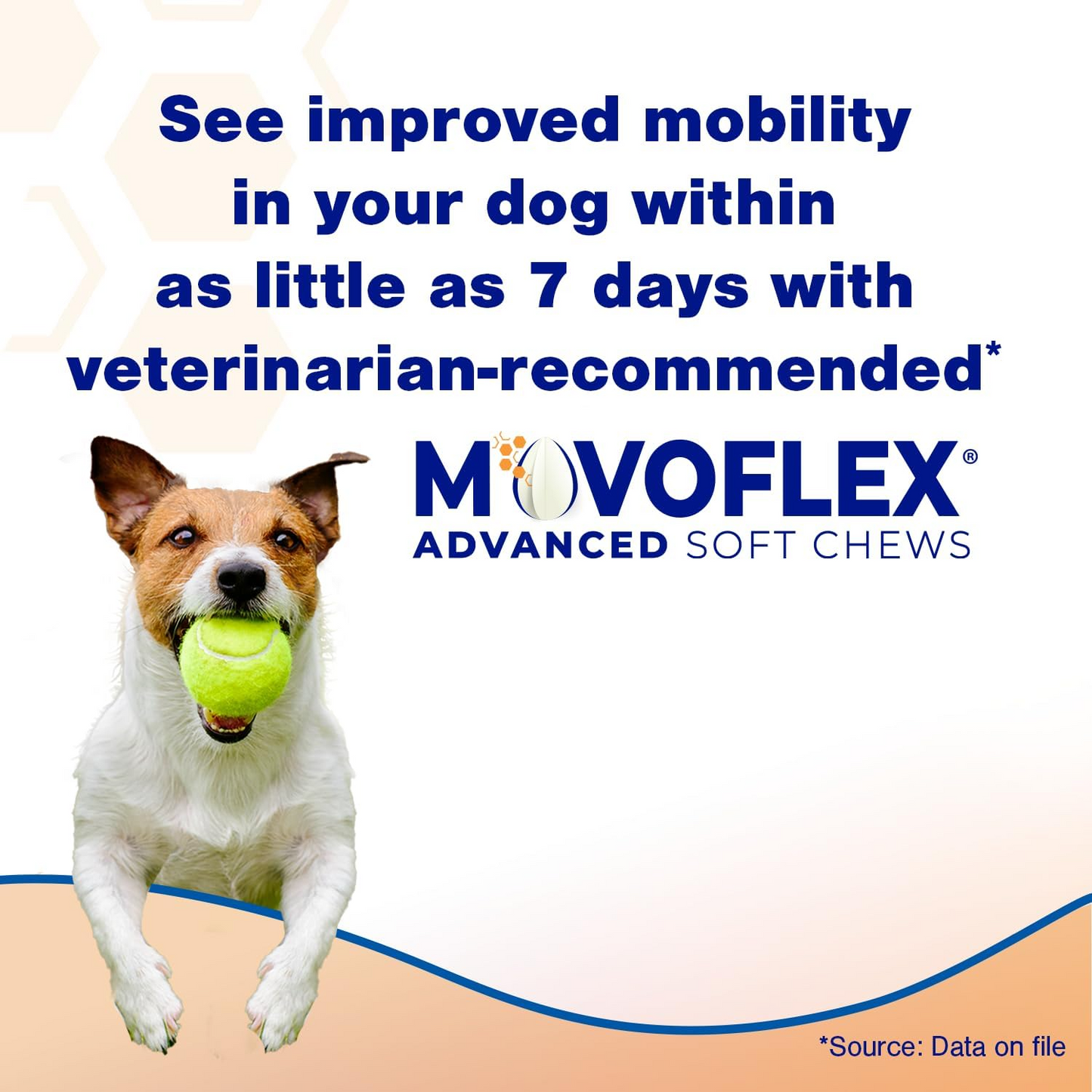MOVOFLEX Advanced Soft Chews
